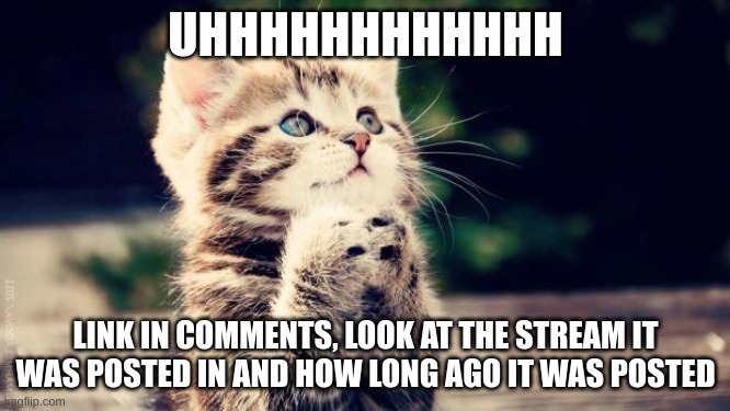 uh oh | UHHHHHHHHHHHH; LINK IN COMMENTS, LOOK AT THE STREAM IT WAS POSTED IN AND HOW LONG AGO IT WAS POSTED | image tagged in praying cat,cat,aub,stream,a,e | made w/ Imgflip meme maker