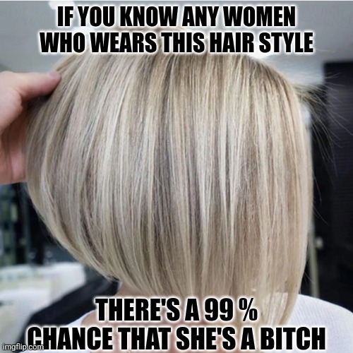 Bitch | IF YOU KNOW ANY WOMEN WHO WEARS THIS HAIR STYLE; THERE'S A 99 % CHANCE THAT SHE'S A BITCH | image tagged in hairstyle | made w/ Imgflip meme maker