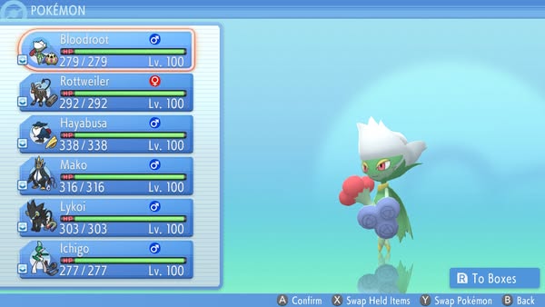 pokemon dinmard team Blank Meme Template