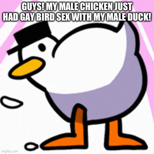 GUYS! MY MALE CHICKEN JUST HAD GAY BIRD SEX WITH MY MALE DUCK! | image tagged in bird,chicken,duck,gay,gay pride,gays | made w/ Imgflip meme maker