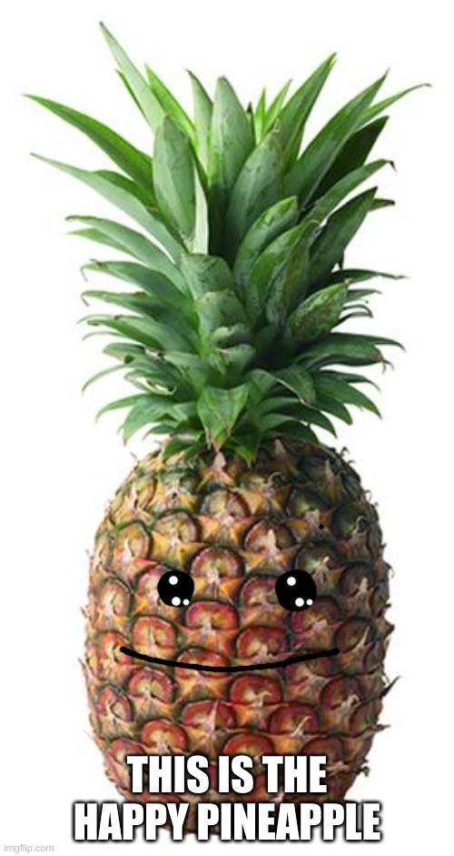 Happy pineapple | THIS IS THE HAPPY PINEAPPLE | image tagged in pineapple,happy | made w/ Imgflip meme maker