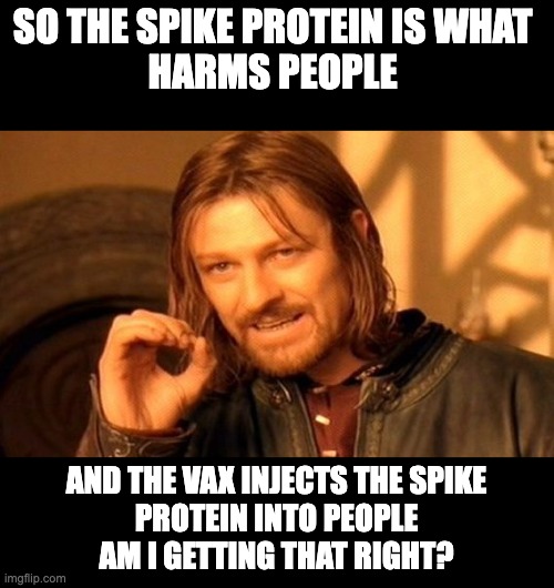 One Does Not Simply | SO THE SPIKE PROTEIN IS WHAT 
HARMS PEOPLE; AND THE VAX INJECTS THE SPIKE
PROTEIN INTO PEOPLE
AM I GETTING THAT RIGHT? | image tagged in memes,one does not simply | made w/ Imgflip meme maker