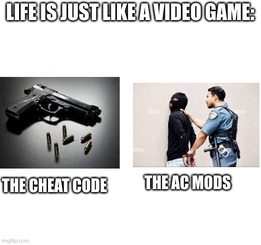 so true. | LIFE IS JUST LIKE A VIDEO GAME:; THE CHEAT CODE; THE AC MODS | image tagged in memes,funny | made w/ Imgflip meme maker