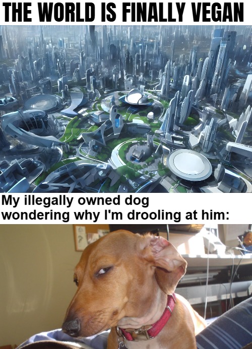 THE WORLD IS FINALLY VEGAN | image tagged in veganism,funny,suspicious dog | made w/ Imgflip meme maker