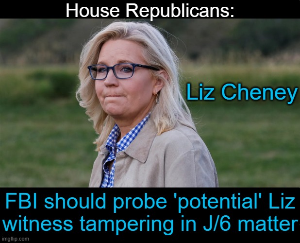 'Numerous federal laws were likely broken by Liz Cheney,' a new House subcommittee report concludes. | House Republicans:; Liz Cheney; FBI should probe 'potential' Liz
witness tampering in J/6 matter | image tagged in liz cheney,fbi,can of worms,democrats,witness tampering,laws | made w/ Imgflip meme maker