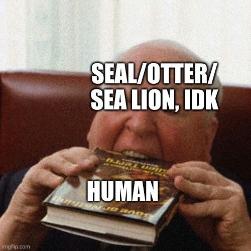 Book om nomnom | SEAL/OTTER/ SEA LION, IDK HUMAN | image tagged in book om nomnom | made w/ Imgflip meme maker