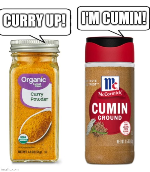 Curry vs Cumin | image tagged in dad joke meme | made w/ Imgflip meme maker