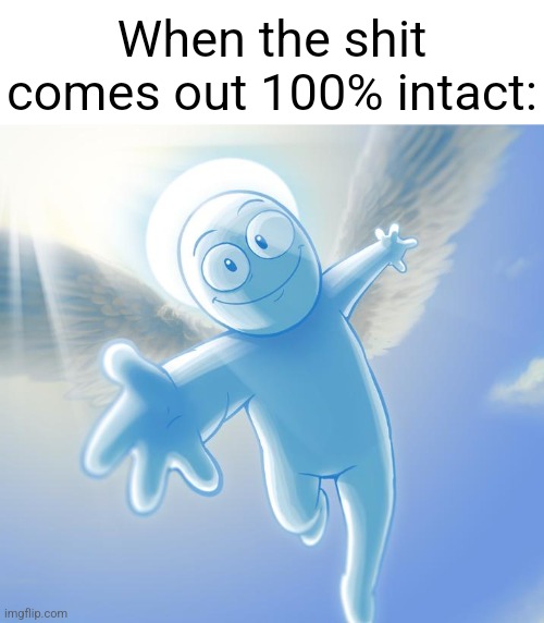 angel | When the shit comes out 100% intact: | image tagged in angel | made w/ Imgflip meme maker