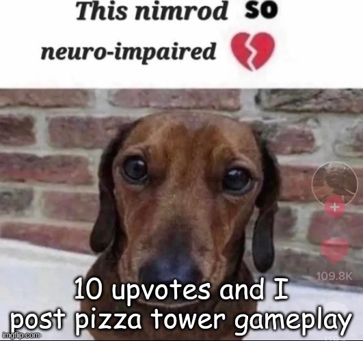 because why not lmao | 10 upvotes and I post pizza tower gameplay | image tagged in fool | made w/ Imgflip meme maker