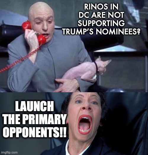 A lot of Congress-critters are going to FAFO. | RINOS IN DC ARE NOT SUPPORTING TRUMP’S NOMINEES? LAUNCH THE PRIMARY OPPONENTS!! | image tagged in 2024,congress,rinos,trump,nominiees | made w/ Imgflip meme maker