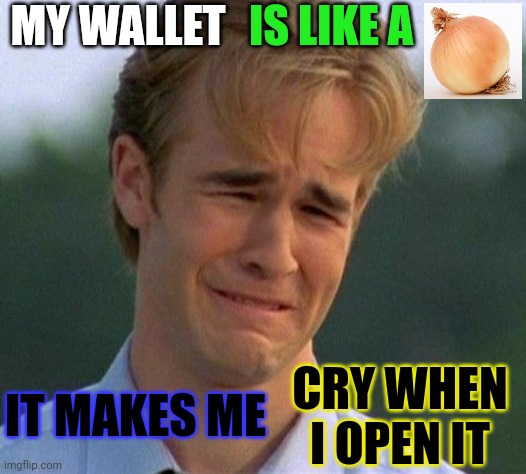 EVERY TIME MAN | MY WALLET; IS LIKE A; IT MAKES ME; CRY WHEN I OPEN IT | image tagged in memes,1990s first world problems | made w/ Imgflip meme maker