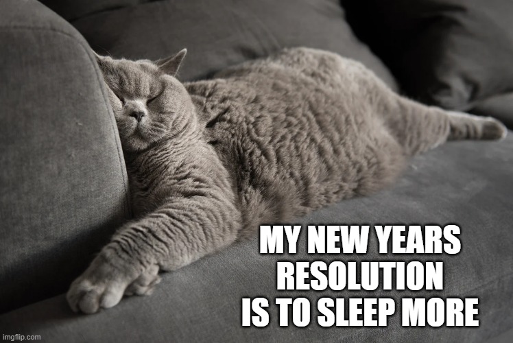 memes by Brad - The cats New Years resolution is to sleep more in 2025 | MY NEW YEARS RESOLUTION IS TO SLEEP MORE | image tagged in cats,kittens,sleeping,funny,new years resolutions,humor | made w/ Imgflip meme maker