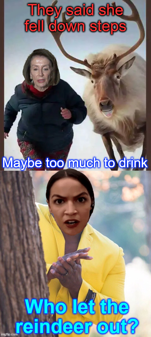 Pelosi breaks hip... | They said she fell down steps; Maybe too much to drink; Who let the reindeer out? | image tagged in pelosi,aoc,who let the reindeer out | made w/ Imgflip meme maker