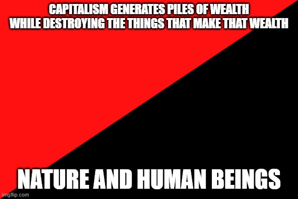 Ancom flag | CAPITALISM GENERATES PILES OF WEALTH WHILE DESTROYING THE THINGS THAT MAKE THAT WEALTH; NATURE AND HUMAN BEINGS | image tagged in ancom flag | made w/ Imgflip meme maker