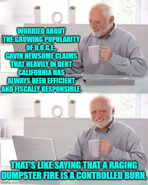 This is how stupid leftist politicians assume voters are. | WORRIED ABOUT THE GROWING POPULARITY OF D.O.G.E., GAVIN NEWSOME CLAIMS THAT HEAVILY IN DEBT CALIFORNIA HAS ALWAYS BEEN EFFICIENT AND FISCALLY RESPONSIBLE. THAT'S LIKE SAYING THAT A RAGING DUMPSTER FIRE IS A CONTROLLED BURN. | image tagged in hide the pain harold | made w/ Imgflip meme maker