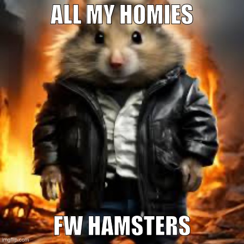 ALL MY HOMIES; FW HAMSTERS | made w/ Imgflip meme maker