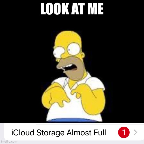 Who cares about iCloud storage | LOOK AT ME | image tagged in look marge,icloud,storage,full | made w/ Imgflip meme maker