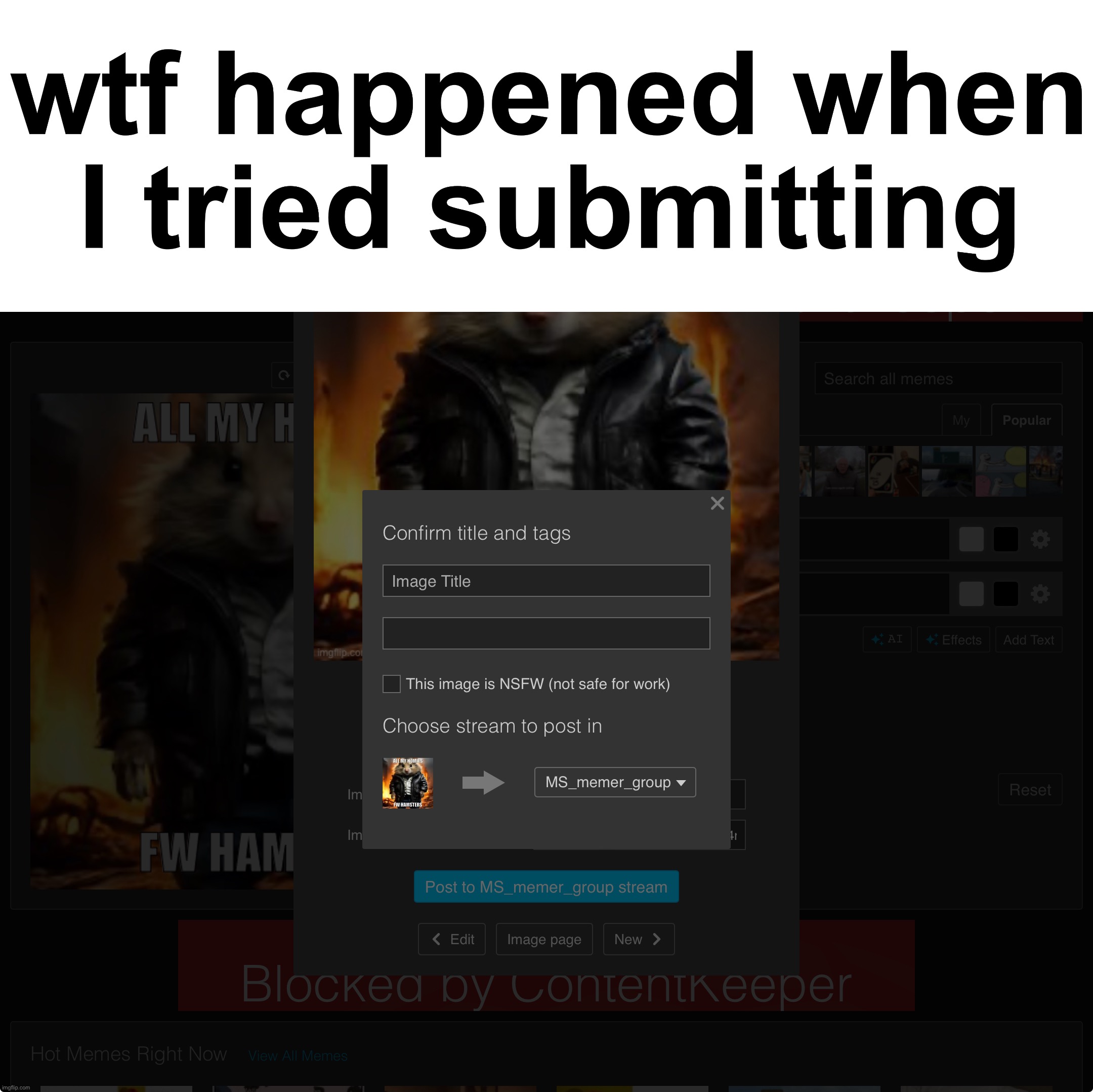 wtf happened when I tried submitting | made w/ Imgflip meme maker