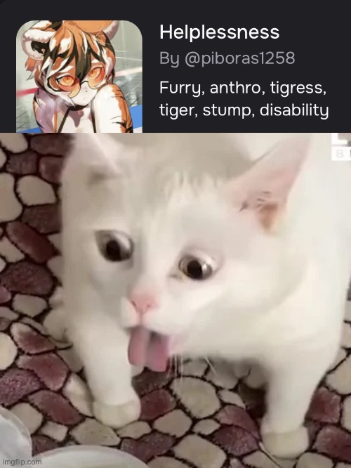 Naaaaah, cuz what the fuck is this shit? | image tagged in cat gag | made w/ Imgflip meme maker