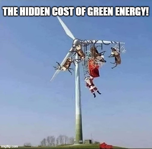 What have we done?!? | THE HIDDEN COST OF GREEN ENERGY! | image tagged in green new deal,windmills,santa | made w/ Imgflip meme maker