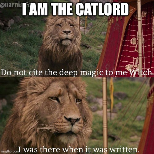 Do not cite the deep magic to me witch | I AM THE CATLORD | image tagged in do not cite the deep magic to me witch | made w/ Imgflip meme maker