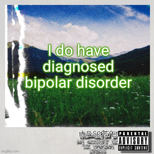 HuaSpring Temp | I do have diagnosed bipolar disorder | image tagged in huaspring temp | made w/ Imgflip meme maker