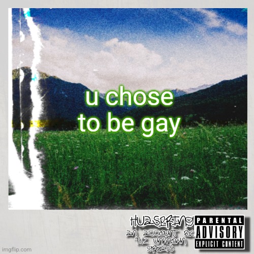 HuaSpring Temp | u chose to be gay | image tagged in huaspring temp | made w/ Imgflip meme maker