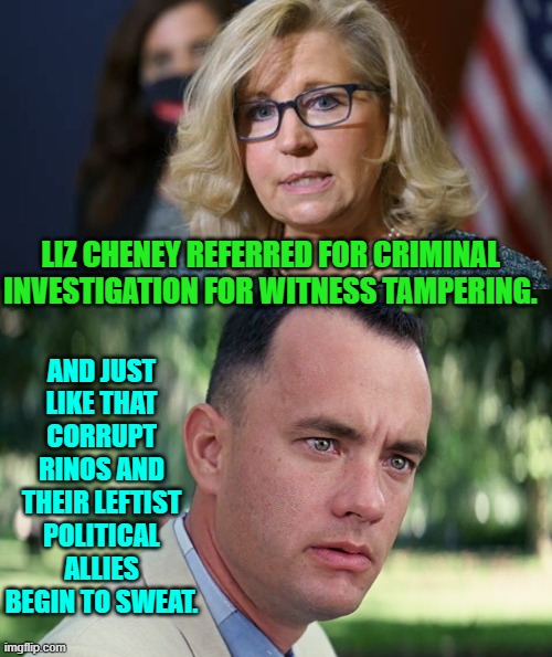 Trump's not even in office yet . . . and still so much winning! | AND JUST LIKE THAT CORRUPT RINOS AND THEIR LEFTIST POLITICAL ALLIES BEGIN TO SWEAT. LIZ CHENEY REFERRED FOR CRIMINAL INVESTIGATION FOR WITNESS TAMPERING. | image tagged in and just like that | made w/ Imgflip meme maker