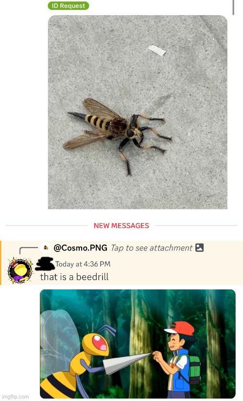 that is a beedrill | image tagged in e | made w/ Imgflip meme maker