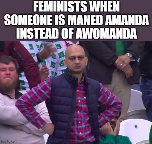 Idk ? | FEMINISTS WHEN SOMEONE IS MANED AMANDA INSTEAD OF AWOMANDA | image tagged in disappointed man | made w/ Imgflip meme maker