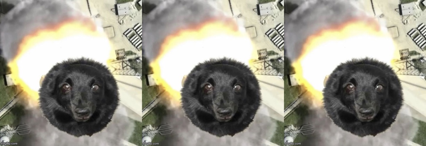 THE LAST THING YOU'LL EVER SEE!!! 「トリブルロケットドッグ離陸！」（TRIPLE ROCKET-DOG TAKEOFF!) | made w/ Imgflip meme maker