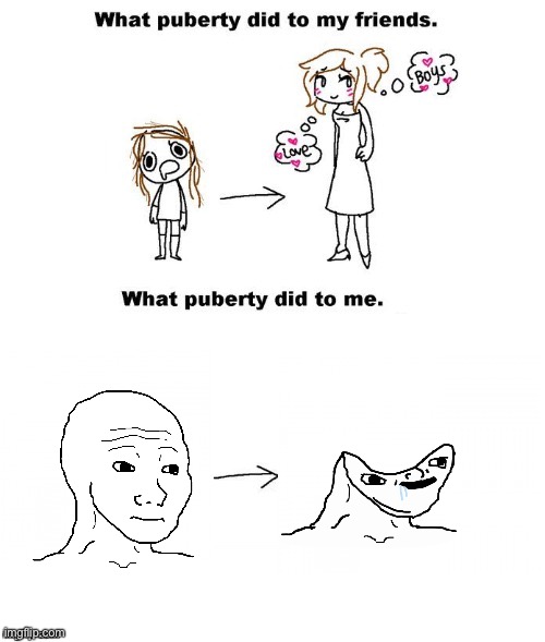 Jk this ain’t real | image tagged in what puberty did to me,msmg | made w/ Imgflip meme maker