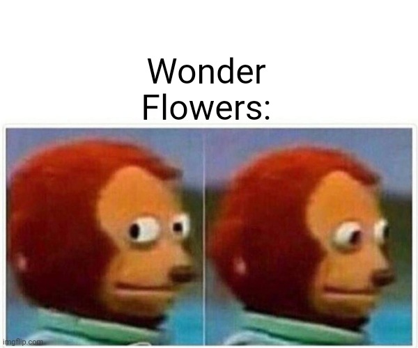 Monkey Puppet Meme | Wonder Flowers: | image tagged in memes,monkey puppet | made w/ Imgflip meme maker