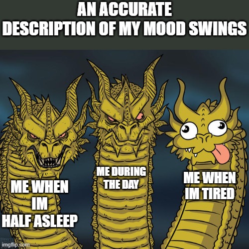 Im not normal | AN ACCURATE DESCRIPTION OF MY MOOD SWINGS; ME DURING THE DAY; ME WHEN IM TIRED; ME WHEN IM HALF ASLEEP | image tagged in three-headed dragon | made w/ Imgflip meme maker