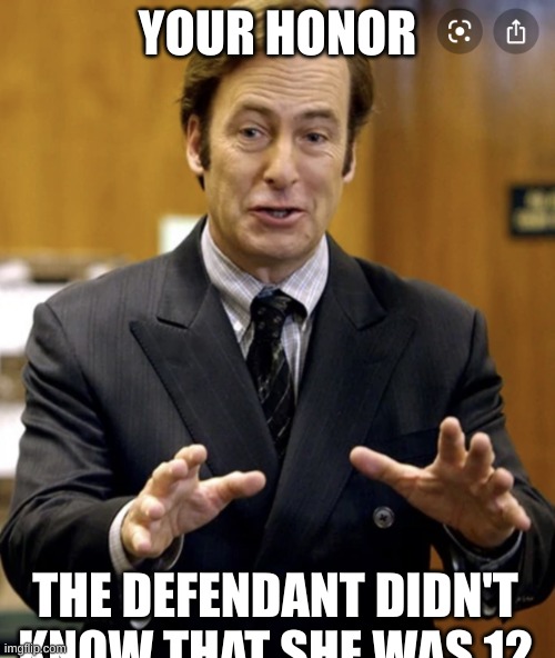 Your Honor, | YOUR HONOR; THE DEFENDANT DIDN'T KNOW THAT SHE WAS 12 | image tagged in your honor | made w/ Imgflip meme maker