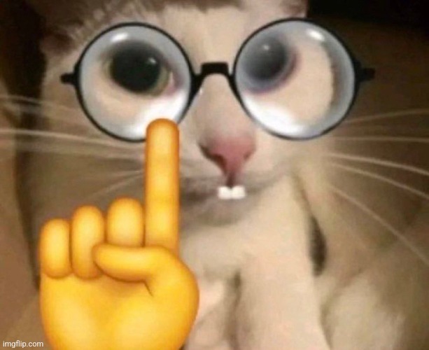 Nerd Cat | image tagged in nerd cat | made w/ Imgflip meme maker