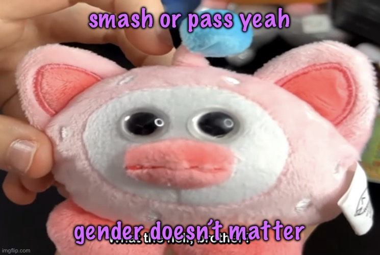 “What the hell, brother?” | smash or pass yeah; gender doesn’t matter | image tagged in what the hell brother,cinnabox announcement | made w/ Imgflip meme maker