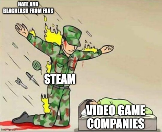 Why do people blame Steam for everything tho? | HATE AND BLACKLASH FROM FANS; STEAM; VIDEO GAME COMPANIES | image tagged in soldier protecting sleeping child,steam,gaming,gamer,controversial,controversy | made w/ Imgflip meme maker