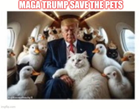 MAGA TRUMP SAVE THE PETS | made w/ Imgflip meme maker