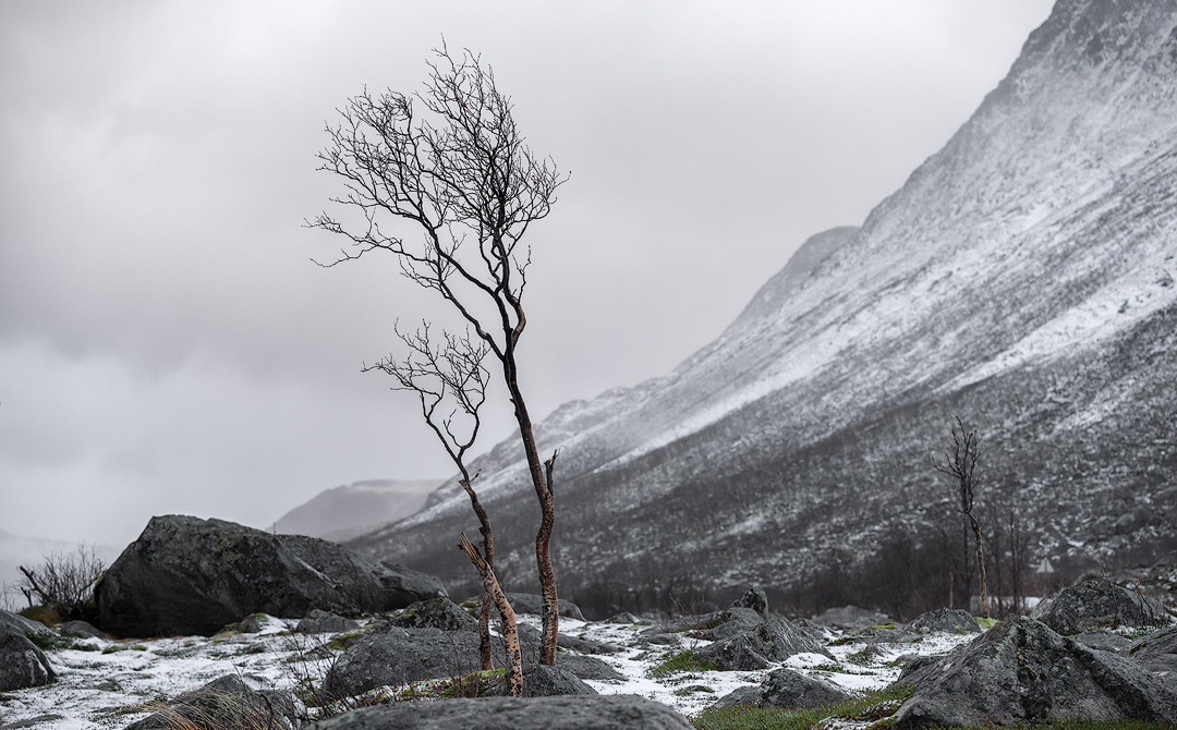 Grotfjord - Norway, 2024. (2/3) Blank Meme Template