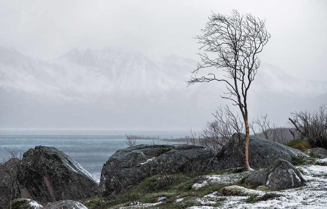 Grotfjord - Norway, 2024. (3/3) Blank Meme Template