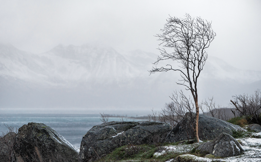 Grotfjord - Norway, 2024. (3/3) Blank Meme Template