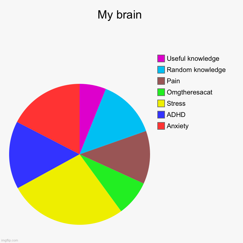 Afdfch jnnvgcfh | My brain | Anxiety , ADHD, Stress, Omgtheresacat, Pain, Random knowledge , Useful knowledge | image tagged in charts,pie charts,adhd,pain | made w/ Imgflip chart maker