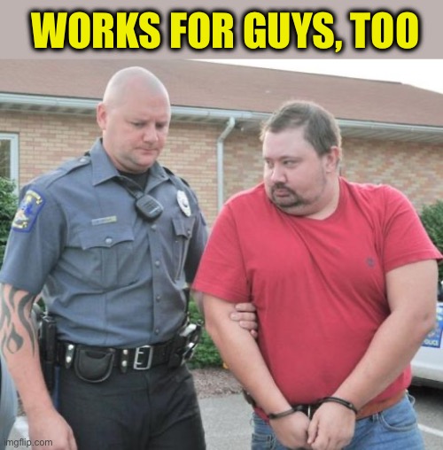 man get arrested | WORKS FOR GUYS, TOO | image tagged in man get arrested | made w/ Imgflip meme maker