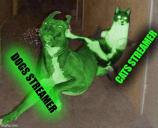 RayCat kicking RayDog | CATS STREAMER DOGS STREAMER | image tagged in raycat kicking raydog | made w/ Imgflip meme maker