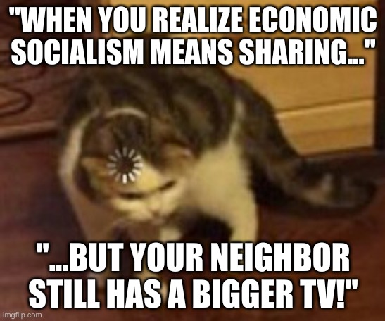 Loading cat | "WHEN YOU REALIZE ECONOMIC SOCIALISM MEANS SHARING..."; "...BUT YOUR NEIGHBOR STILL HAS A BIGGER TV!" | image tagged in loading cat | made w/ Imgflip meme maker