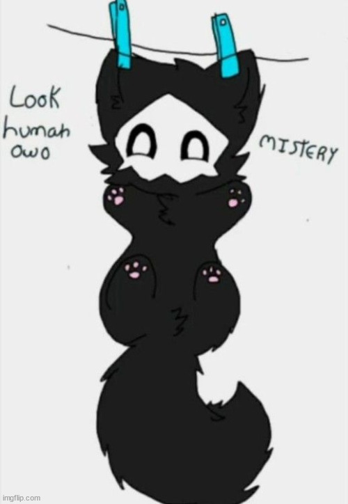 Puro ur so cute:3 i think puros my furry crush now :3 (art credit: unknown artist if u find the artist pls say something) | image tagged in meow,puro,cute,crush | made w/ Imgflip meme maker