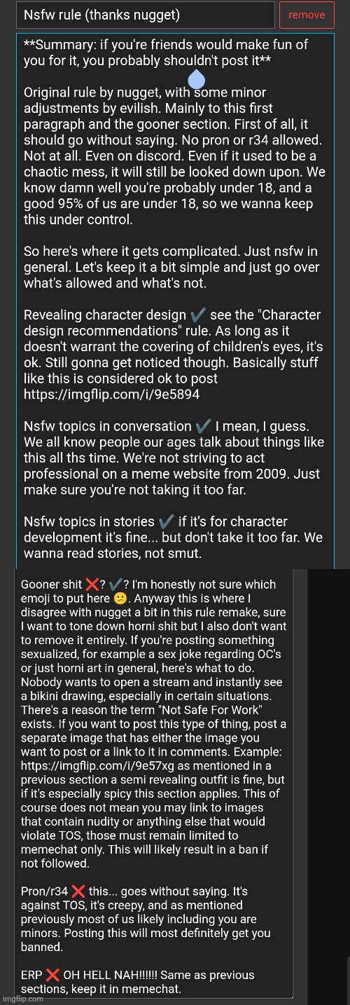 Finally added nugget's rule to replace the previous nsfw rule | made w/ Imgflip meme maker