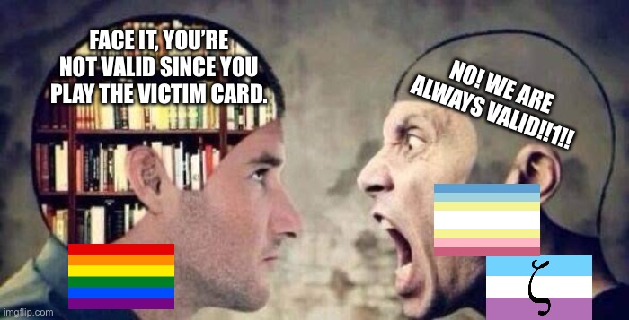 Never cast aspersions. Also, this image does not promote discrimination. | NO! WE ARE ALWAYS VALID!!1!! FACE IT, YOU’RE NOT VALID SINCE YOU PLAY THE VICTIM CARD. | image tagged in empty head idiot shouting at smart guy with books in head | made w/ Imgflip meme maker