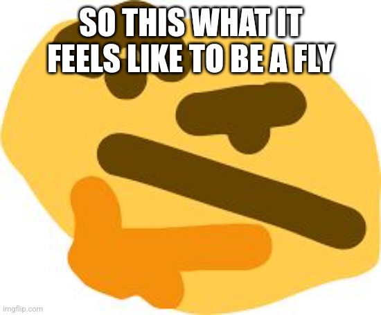 Thonk | SO THIS WHAT IT FEELS LIKE TO BE A FLY | image tagged in thonk | made w/ Imgflip meme maker